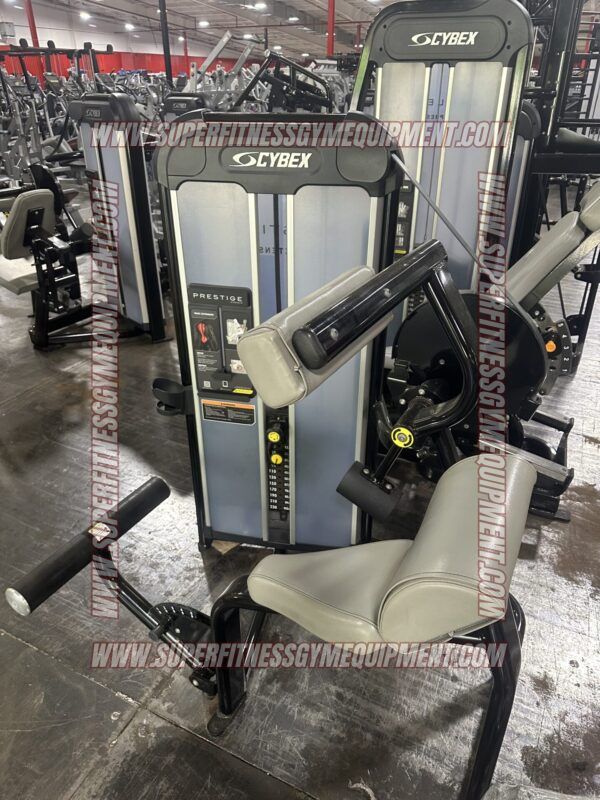 Complete Cybex Eagle and Hammer Strength Gym Package - Image 6