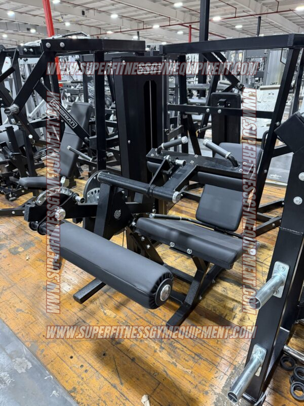 Cimerian Seated Leg Curl